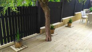 a wooden deck with a tree and a fence at Apartament KAOLA in Jelenia Góra