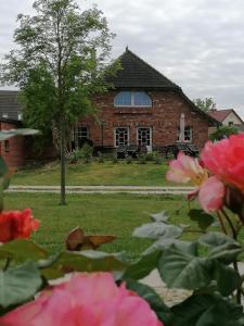 een stenen huis met een boom en bloemen op de voorgrond bij Boddenhus auf Rügen - Ferienwohnungen und Pension in Rappin