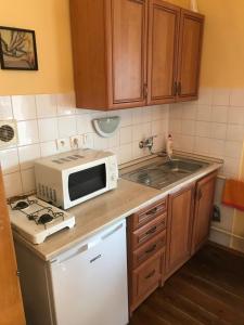 a kitchen with a microwave oven and a sink at Apartman u Karla in Veľký Meder