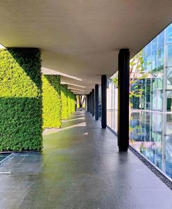 un couloir d'un bâtiment avec un mur vert dans l'établissement Intercontinental Shenzhen Dameisha Resort, an IHG Hotel, à Shenzhen