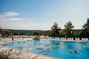 Swimmingpoolen hos eller tæt på Belvedere Resort Hotels