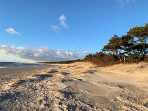 Naturlandskabet i nærheden af lejligheden