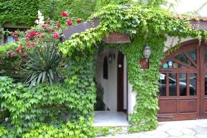 an entrance to a building covered in green ivy at Семеен Хотел Море in Sozopol