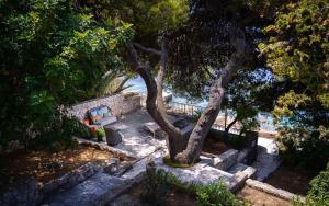 an overhead view of a bench and a tree at Pine Beach Villa in Hvar