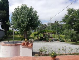 een tuin met een vuurplaats en planten bij Casa La Fonte in Altopascio