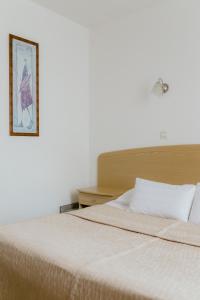 een slaapkamer met een bed en een foto aan de muur bij Hotel Silver in Osijek