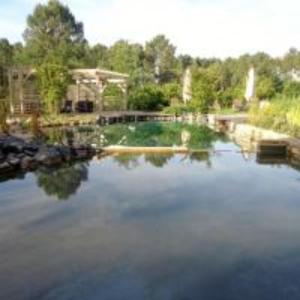 Blick auf einen Teich in einem Park in der Unterkunft Le Mas de Baume in Rosières