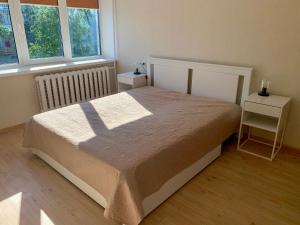 een slaapkamer met een bed en 2 ramen bij Centro Apartamentai in Zarasai