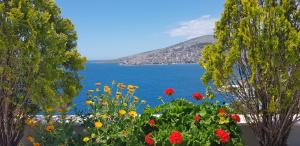 vista di una cassa d'acqua con fiori di Asi Rooftop Hotel a Sarandë