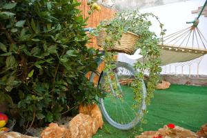 カブラスにあるBnB Le Janasの自転車(植物入りバスケット付)