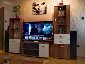 TV a/nebo společenská místnost v ubytování Apartman VILLA Cacak