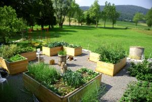 einen Garten mit mehreren Schachteln Pflanzen auf einem Feld in der Unterkunft Apartments Leni in Postojna