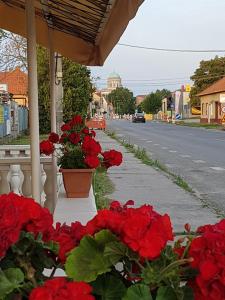 una strada con fiori rossi su un portico di Penzión KORMOŠ a Štúrovo