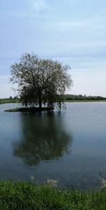 Un paisaje natural cerca of the bed and breakfast