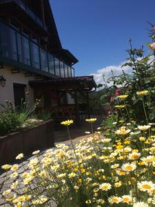 un giardino con fiori gialli e bianchi di fronte a un edificio di Ferienwohnung Saaletalblick a Jena