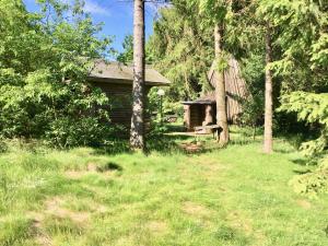 Garður fyrir utan Moderne und komfortable Appartements im Ferienpark Hahnenklee