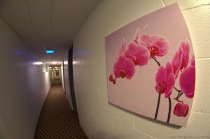 un dipinto di orchidee rosa appeso a un muro di Hotel Royal Plaza a Winnipeg