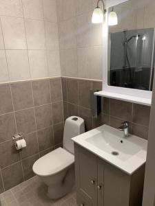 uma casa de banho com um WC, um lavatório e um espelho. em Rohuaia Apartments em Rakvere