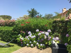 a garden with a bunch of flowers on a deck at Villa 8 au Village Marin in Porto-Vecchio