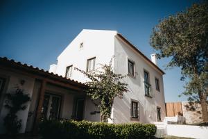 صورة لـ Casa dos Junqueiros - Countryside Guest House في كالداس دا راينها