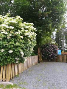 Puutarhaa majoituspaikan Ferienwohnung im Harz-Haus-Bruns ulkopuolella