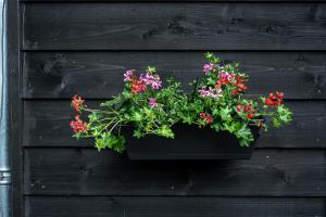 een zwarte muur met een pot bloemen erop bij Gieters Geluk in Giethoorn