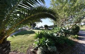 um grupo de plantas em um parque com uma palmeira em CASA BEACHCOMBER Le jardin des Arts em Lagos