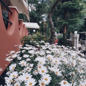 Taman di luar Nafsika Apartments