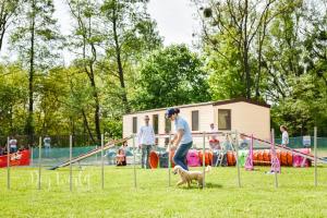 Zona de juegos infantil en Holiday houses BARCA