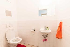 a bathroom with a toilet and a sink at Ferienwohnung St. Pölten Rathausplatz in Sankt Pölten