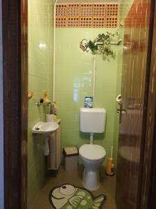 a small bathroom with a toilet and a sink at Haus Gizella in Harkány