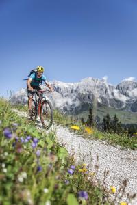 um homem a andar de bicicleta num trilho de montanha em Molteraugut em Mühlbach am Hochkönig