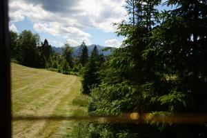 - une vue sur un champ depuis une fenêtre de voiture dans l'établissement Cyrwony Domek, à Poronin