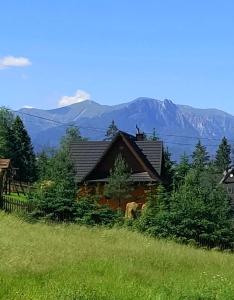 une maison dans un champ avec des montagnes en arrière-plan dans l'établissement Cyrwony Domek, à Poronin