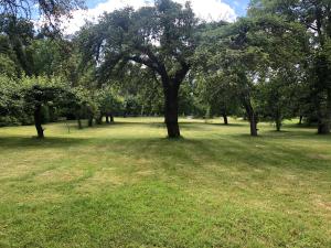 een grasveld met bomen in een park bij Hotel Zameczek in Radomsko