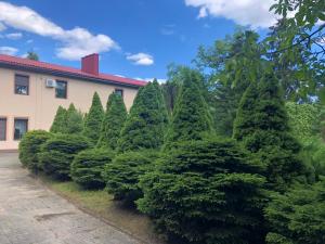 een rij groenblijvende bomen voor een gebouw bij Hotel Zameczek in Radomsko