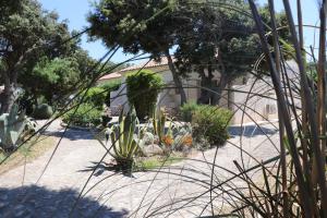 un jardin en face d'une maison ornée de plantes dans l'établissement Hôtel Padolo, à Bonifacio