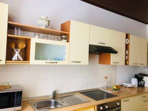 Η κουζίνα ή μικρή κουζίνα στο APARTMA DOMENIKA