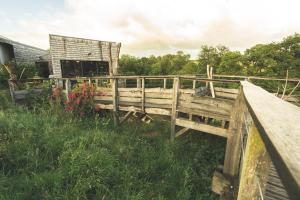 eine Holzbrücke vor einem Gebäude in der Unterkunft Terragora Lodges - Hébergement atypique in Les Épesses