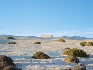 een sneeuwveld met planten erin bij Hotel Riu Oliva Beach Resort - All Inclusive in Corralejo