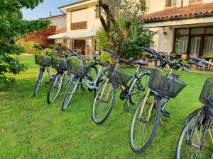 una fila de bicicletas estacionadas en el césped en Agriturismo il Cascinale, en Treviso