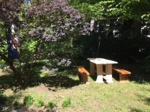 un tavolo da picnic e due panche accanto a un albero di Youth Hostel Proteus Postojna a Postumia