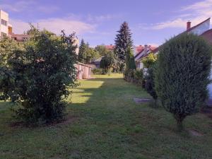 une cour avec deux arbres dans l'herbe dans l'établissement HEMNES Apartman, à Kaposvár