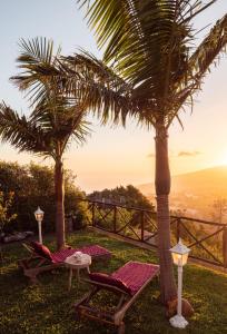 een patio met palmbomen en een tafel en stoelen bij Casa dos Avos in Calheta