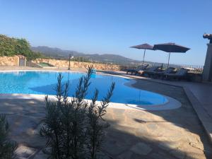 piscina con sedie e ombrellone di Villa Peonia a Budoni