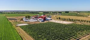 Un jardín fuera de Quinta da Gafaria