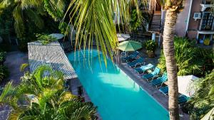 an overhead view of a pool with chairs and palm trees at Hotel Santa Fe in Puerto Escondido