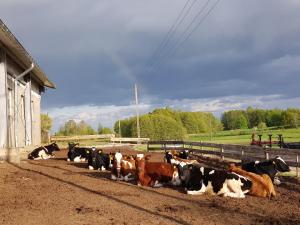 Zvieratá na farme alebo blízkom okolí