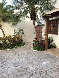 a courtyard with palm trees and a building at Bed and Breakfast Pecarí in Cancún