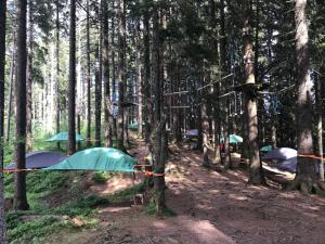 eine Gruppe von Zelten im Wald in der Unterkunft Lucerne Apartment Mount Pilatus in Luzern